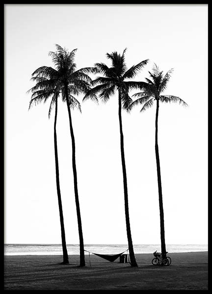 Palm Trees On Beach Affiche dans le groupe Affiches / Noir et blanc chez Desenio AB (10233)