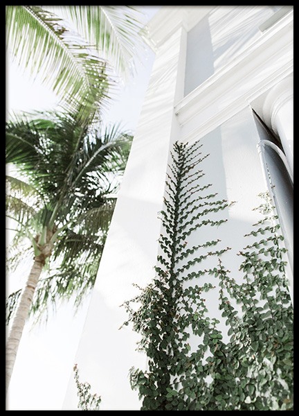 Climbing Plant Affiche dans le groupe Affiches / Nature chez Desenio AB (10628)