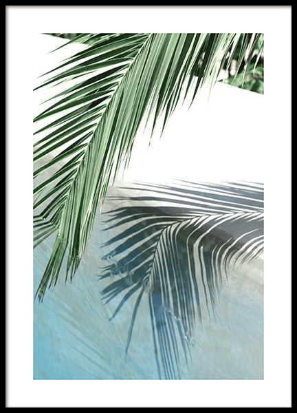 Poolside Palm Reflection Affiche dans le groupe Affiches / Photographie chez Desenio AB (10666)
