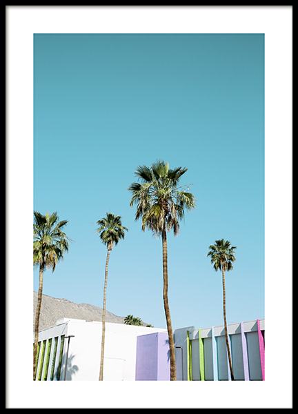 Rainbow Palms Affiche dans le groupe Affiches / Nature chez Desenio AB (10789)