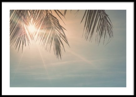 Sunset Palm Leaves Affiche dans le groupe Affiches / Nature / Ciels chez Desenio AB (10882)