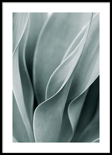 Agave Leaves No3 Poster in der Gruppe Poster / Fotografien bei Desenio AB (11661)