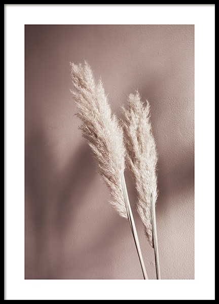 Beige Reeds No2 Affiche dans le groupe Affiches / Photographie chez Desenio AB (12426)
