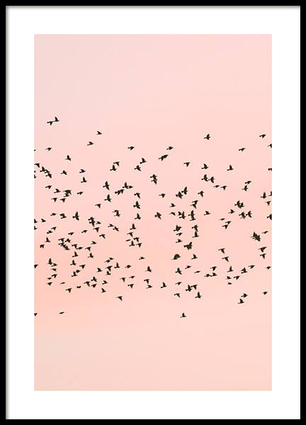 Pink Sunset Birds Poster in de groep Posters / Natuurmotieven bij Desenio AB (12601)