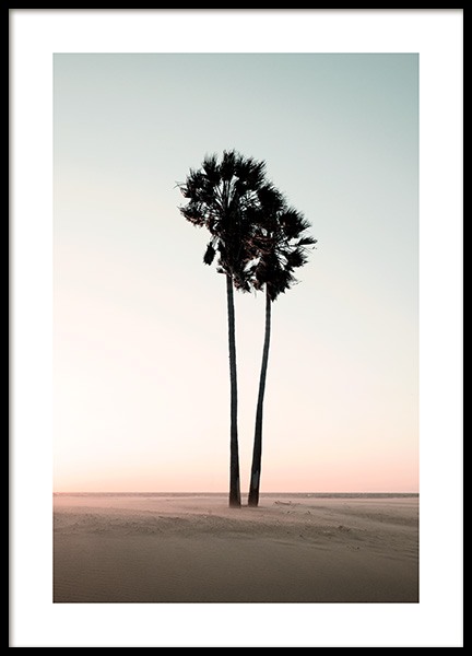 Coconut Palm Trees Poster in de groep Posters / Natuurmotieven / Tropisch bij Desenio AB (12647)