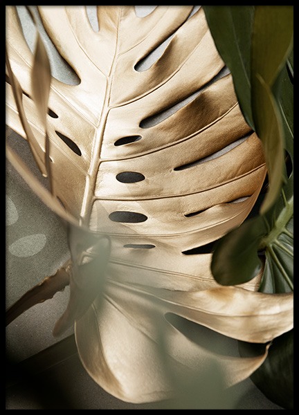 Golden Monstera leaves Poster in der Gruppe Poster / Botanik / Monsteras bei Desenio AB (13573)