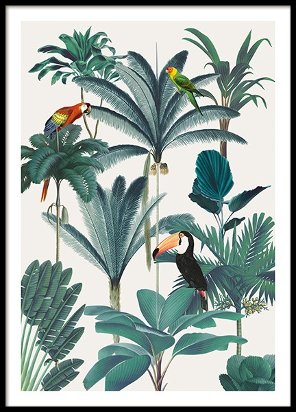 Royal Botanical Birds Poster in der Gruppe Poster / Tiere / Vögel bei Desenio AB (13736)