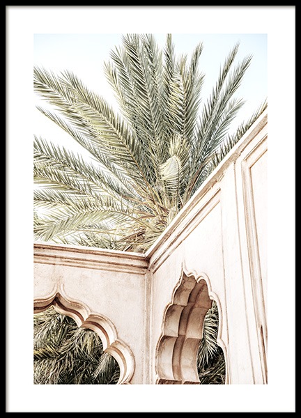 Palm Curves Poster in de groep Posters / Fotokunst bij Desenio AB (14217)