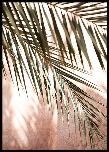 Pink Shadow Poster in der Gruppe Poster / Fotografien bei Desenio AB (14219)