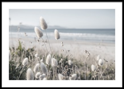 Beach Dune Grass Affiche dans le groupe Affiches / Nature / Plages chez Desenio AB (14833)