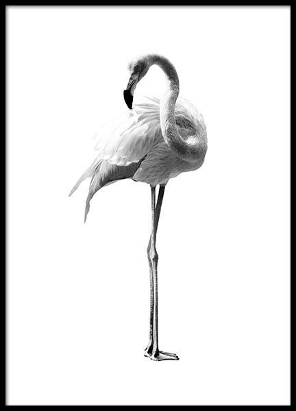 Flamingo Black And White Poster in de groep Posters / Zwart wit bij Desenio AB (2395)