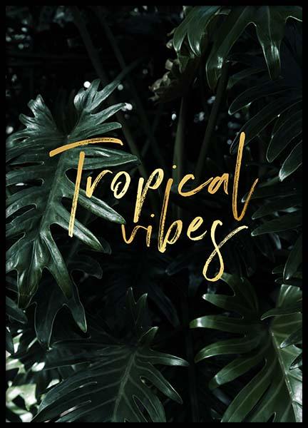 Tropical Poster in de groep Posters / Posters met tekst bij Desenio AB (2402)