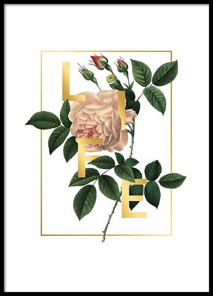 Life Poster in de groep Posters / Posters met tekst bij Desenio AB (2403)