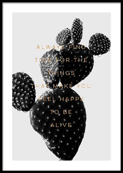 Always Find Time Affiche dans le groupe Affiches / Botanique chez Desenio AB (2772)