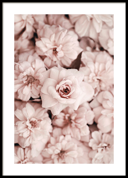 Bed Of Flowers Poster in de groep Posters / Botanisch bij Desenio AB (2786)