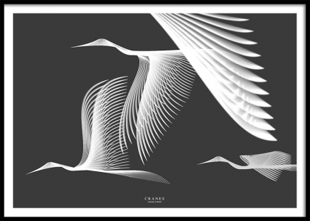 Cranes In Moiré Affiche dans le groupe Affiches / Insectes et animaux chez Desenio AB (3223)