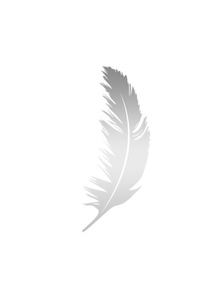 Feather Silver, Affiche dans le groupe Affiches / Or et argent chez Desenio AB (7943)