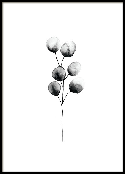 Eucalyptus Plant Black, Affiche dans le groupe Affiches / Botanique chez Desenio AB (8174)