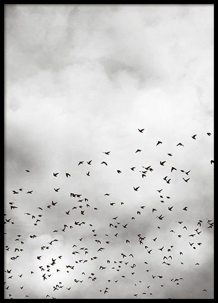 Bird Sky, Affiche dans le groupe Affiches / Nature chez Desenio AB (8257)