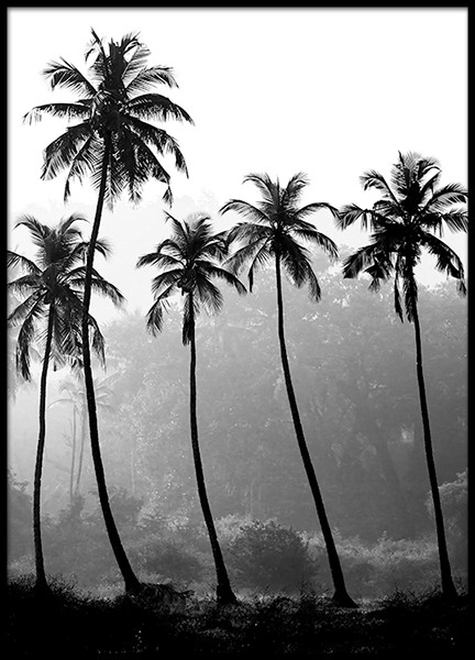 Palm Trees, Poster in de groep Posters / Natuurmotieven bij Desenio AB (8379)