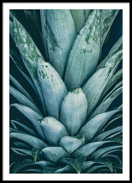Pineapple Crown Affiche dans le groupe Affiches / Botanique chez Desenio AB (8811)
