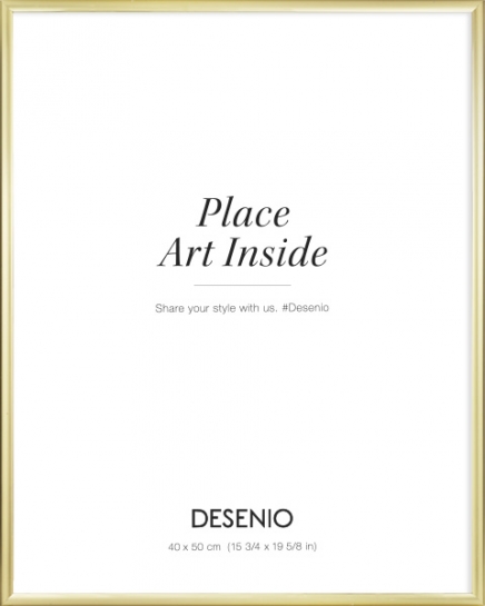 Wissellijst goud, 40x50