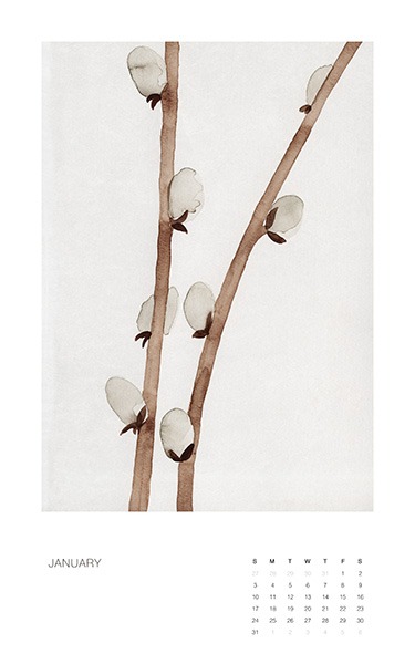 – Calendrier mural avec des illustrations botaniques de fleurs et de plantes pour chaque mois de l’année