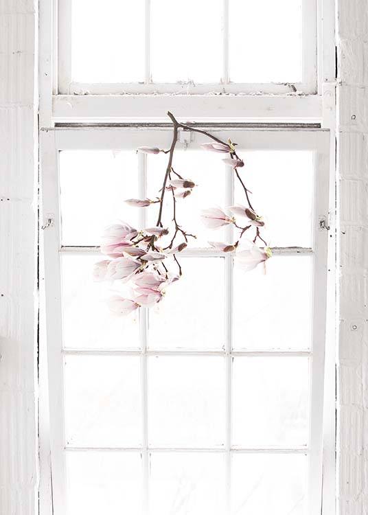 Flowers In The Window Affiche / Photographie chez Desenio AB (10182)