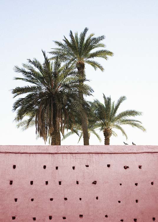 Pink Palms Affiche / Photographie chez Desenio AB (10270)