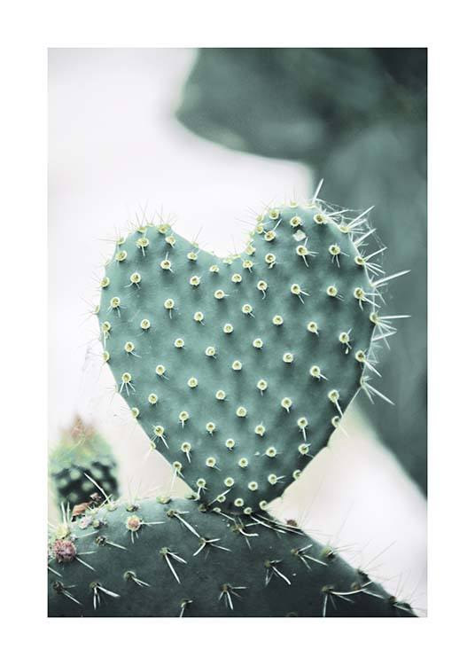 Heart Cactus Poster / Fotokunst bij Desenio AB (10431)