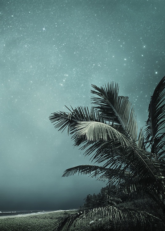 – Affiche d'une nuit claire avec des feuilles de palmier