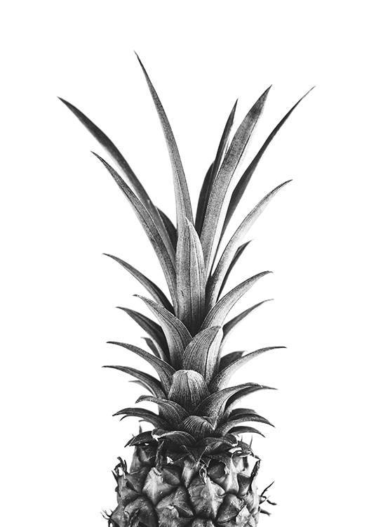 Pineapple B&W Affiche