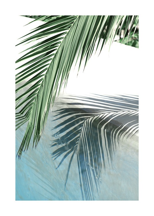 Poolside Palm Reflection Affiche / Photographie chez Desenio AB (10666)
