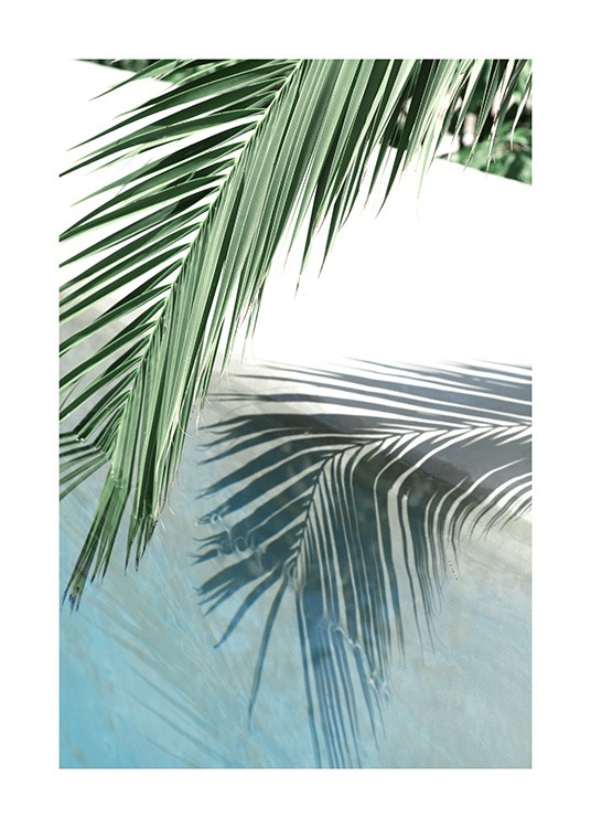 Poolside Palm Reflection Affiche