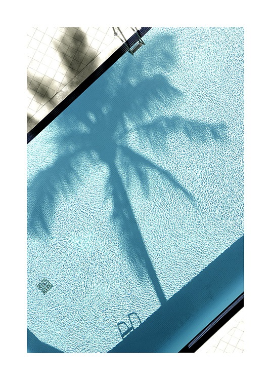 Pool and Palm Tree Poster / Fotografien bei Desenio AB (10668)