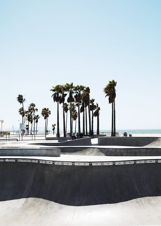 Venice skate park Poster