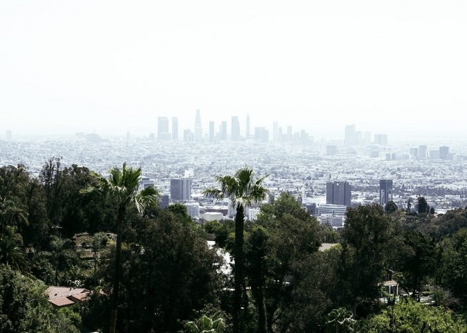 Skyline of Los Angeles Poster / 50x70 cm bei Desenio AB (10787)