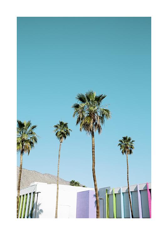 Rainbow Palms Poster / Tropisch bij Desenio AB (10789)