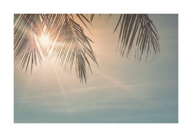 Sunset Palm Leaves Poster
