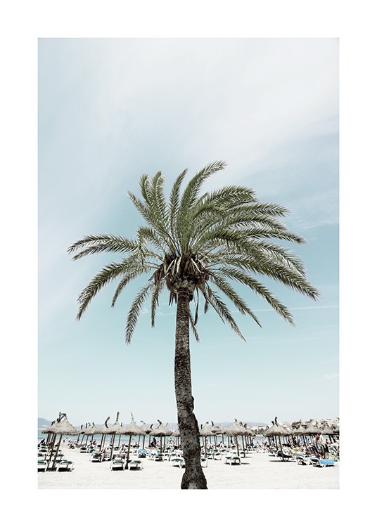 Sunbeds and Palm Tree Poster / Naturmotive bei Desenio AB (10893)