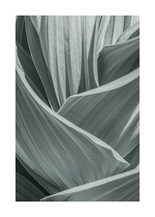 Abstract Green Leaves Poster / Fotokunst bij Desenio AB (10982)