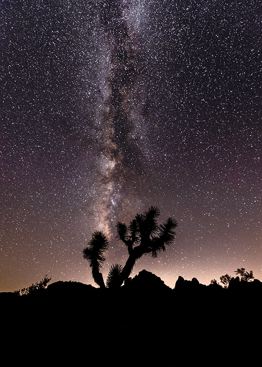 – Fotografie von Bäumen vor einem sternenübersäten Nachthimmel
