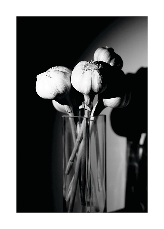 Garlic in a Vase Poster / Zwart wit bij Desenio AB (11278)