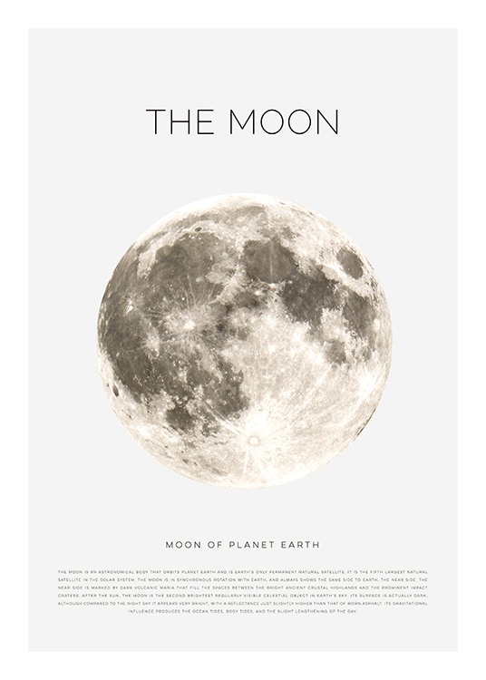 The Moon Affiche