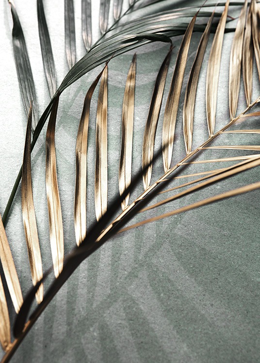  – Photographie de feuilles de palmier dorées et vertes sur un fond en pierre