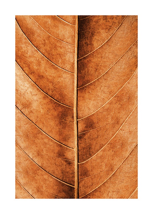 Autumn Leaf Poster