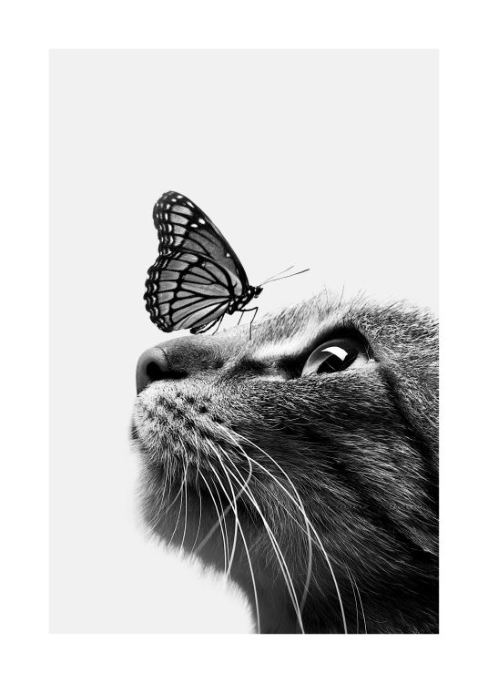 Butterfly Cat Poster / Kinder bei Desenio AB (11774)