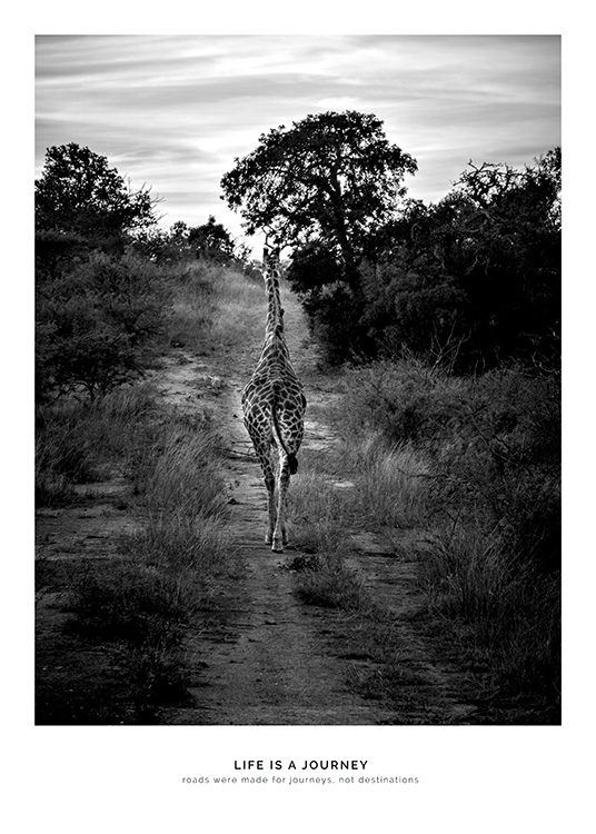 Life is a Journey Poster