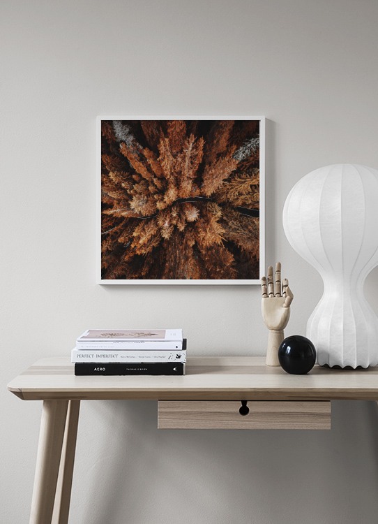 Autumn Colors Poster / Natuurmotieven bij Desenio AB (11875)