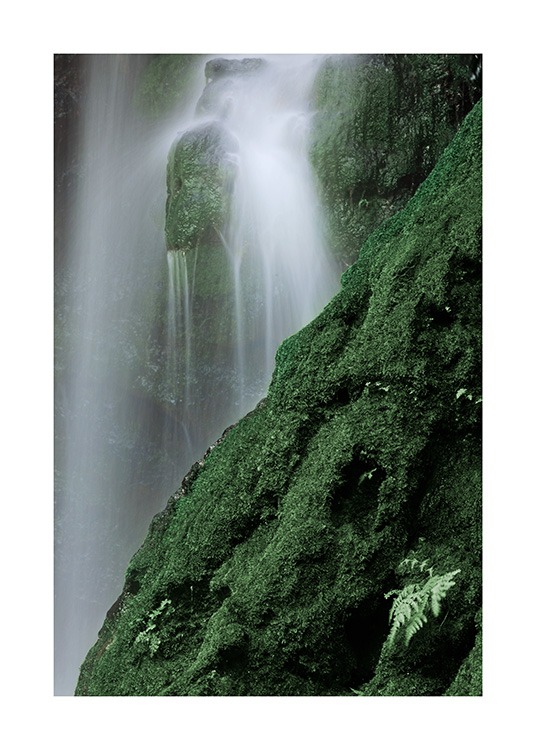 Waterfall in Forest Affiche / Nature chez Desenio AB (12080)
